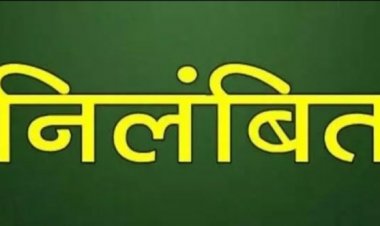 प्रधान पाठक का वेतनवृद्धि रोकने कलेक्टर ने जारी किया आदेश, शराब पीकर पहुंचा था चुनावी ड्यूटी में