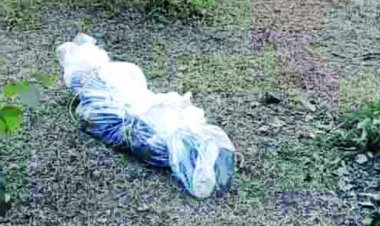 जंगल में मिला लापता युवती का कंकाल, अलग-अलग मिले सिर और धड़