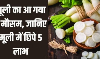 मूली के गुणों को जान आप भी हो जाएंगे हैरान, कफ और सर्दी जुकाम से भी दिलाती है निजात