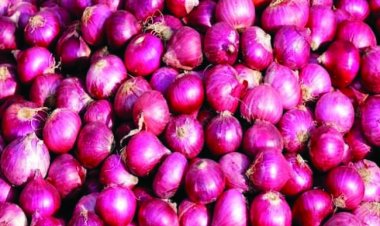 मार्च 2024 तक प्‍याज के निर्यात पर पूरी तरह रोक, अब नहीं बढ़ेंगे प्याज के दाम