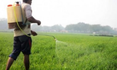 अमानक कीटनाशक औषधि कीटनाशक औषधि ट्राईसाइक्लाजोन पर लगा प्रतिबंध