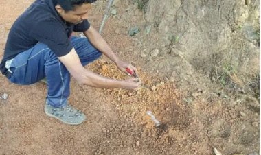 नक्सलियों द्वारा लगाई गई 21 सीरियल IED बम बरामद