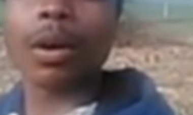 छत्तीसगढ़ के 15 श्रमिकों को यूपी में बनाया गया है बंधक