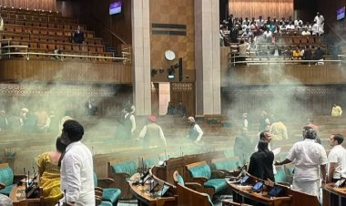 राजनीति में आने और सुर्खियां पाने रची गई संसद हमले की साजिश