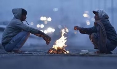 यूपी-बिहार सहित हरियाणा-पंजाब में सर्दी का सितम, अगले सप्ताह से शीत लहर की आशंका