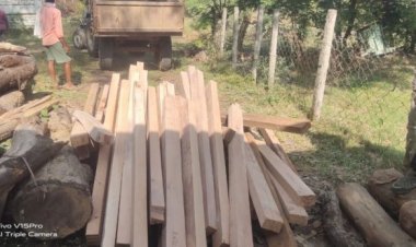 वन विभाग का अधिकारी लाखों की बेस कीमती लकड़ी के साथ गिरफ्तार