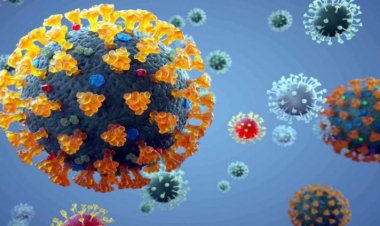 छत्तीसगढ़ में कोरोना के एक्टिव मरीजों की संख्या हुई 5