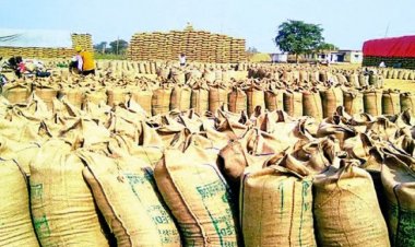 दुर्ग जिले में किसानों को दी जाएगी लगभग 17 करोड़ 772 लाख रुपए धान की बकाया बोनस राशि