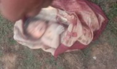 नवजात बच्ची को झोले में डाल फेंका नाली में, मां - बाप की तलाश में जुटी पुलिस