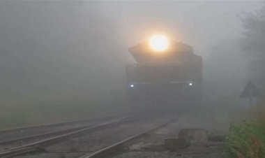 19 राज्यों में कोहरा, 9 शहरों में जीरो विजिबिलिटी