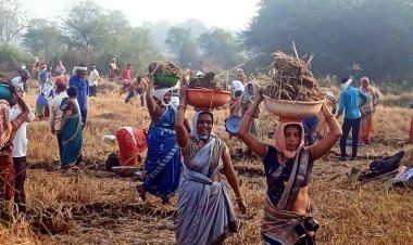 जिले में मनरेगा के माध्यम से 62 हजार श्रमिको को मिला काम, राज्य में प्रथम स्थान