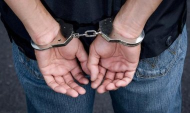 भारतीय मूल के रियल एस्टेट डेवलेपर पर अमेरिका में अपराध दर्ज, 9.5 करोड़ फर्जीवाड़े का आरोप