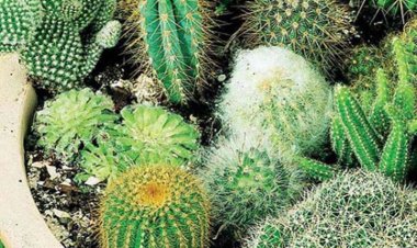 इससे होती है धनहानि 