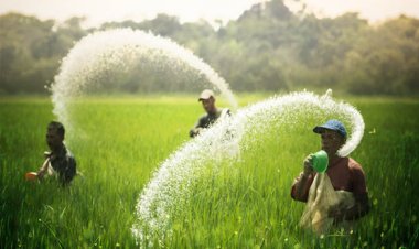 सरकार ने दी मंजूरी: सल्फर कोटेड यूरिया को लॉन्च करने प्रस्ताव को लेकर, इस नाम से किया गया लॉन्च