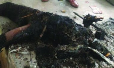 दुर्ग के एक मंदिर में 5 माह पूर्व हुए अंधे कत्ल का खुलासा, मंदिर का केयरटेकर निकला हत्या का आरोपी