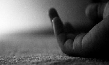 कर्नाटक में मंकी वायरस से लडक़ी की मौत