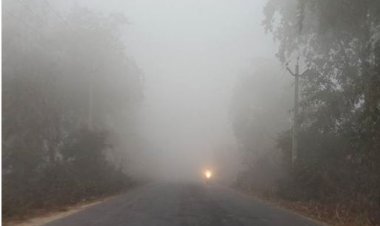 मौसम विभाग ने बताया....इस दिन से कम होगा सर्दी का सितम