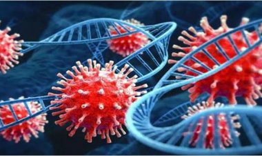 कोरोना से दिसंबर में 10 हजार मौतें