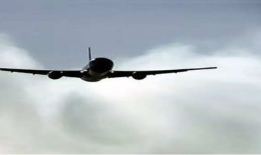 साढ़े 7 साल बाद मिला वायुसेना के विमान का मलबा