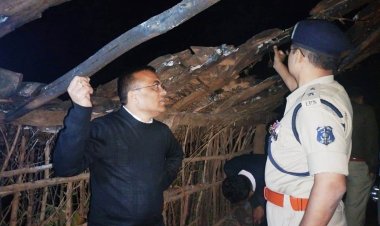 कलेक्टर और एसपी ने नागाडबरा गांव पहुंच कर आगजनी घटना स्थल का अवलोकन किया