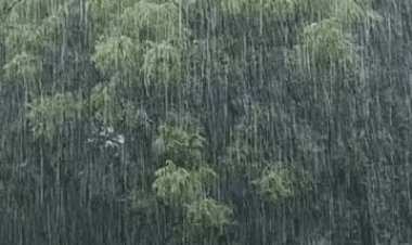 दुर्ग-भिलाई, रायपुर,में सुबह से बदली, बिलासपुर, कोरबा और जशपुर में झमाझम बारिश, मंडी में रखा धान भीगा, आज भी अलर्ट