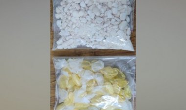 मुंबई एयरपोर्ट में 6.2 करोड़ रुपये मूल्य की कोकीन बरामद