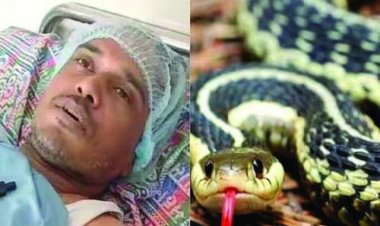 संपत्ति के लिए पत्नी ने पहले पति को पिलाई बीयर फिर सांप से डंसवाई