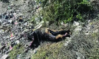 कारोबारी की अधजली लाश मिली, पुलिस ने दो सौतेले भाइयों को लिया हिरासत में