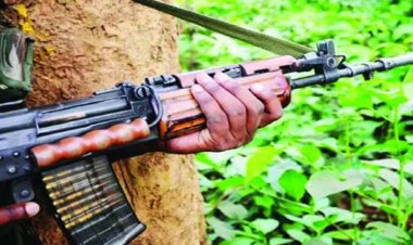 कबीरधाम जिले के माराडबरा जंगल में पुलिस और नक्सलियों का हुआ आमना-सामना, ताबड़तोड़ हुई फायरिंग