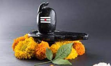 चावल चढ़ाने से भी प्रसन्न होते हैं भोलेनाथ, कब और कैसे लगाएं भोग