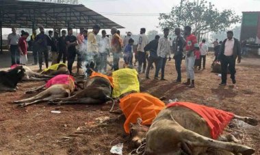 100 मवेशियों से भरी ट्रक को ग्रामीणों ने पकड़ा, 13 मृत मिले