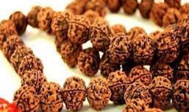 रुद्राक्ष धारण करने से पहले जानें नियम! इन 4 जगहों पर भूलकर न करें प्रयोग... होगा नुकसान