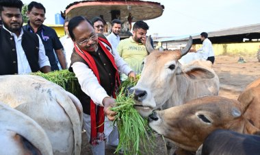 गौमाता की सेवा बहुत पुण्य का काम है: कृषि मंत्री राम विचार नेताम