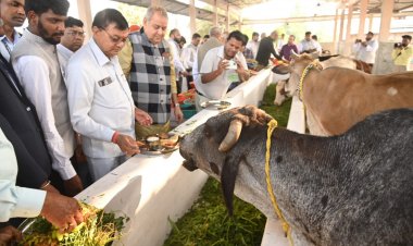 वाणिज्य और उद्योग एवं श्रम विभाग मंत्री श्री लखन लाल देवांगन ने नगपुरा स्थित गौशाला का किया उद्घाटन