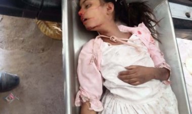 दुर्ग जिले में बड़ा सड़क हादसा, ट्रक ट्रेलर और बाइक की भिड़ंत में पिता-पुत्री की मौत, एक बच्ची गंभीर