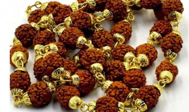 रुद्राक्ष और उनके महत्व