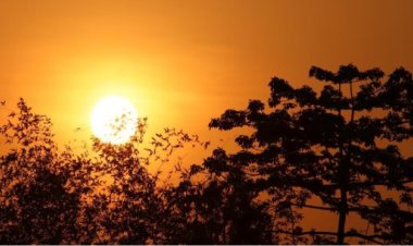 बदला मौसम का मिजाज, तापमान 34 डिग्री से ऊपर पहुंचा