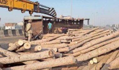 हाईवे पर लकड़ियों से भरा ट्रक पलटा, बाल-बाल बचा चालक