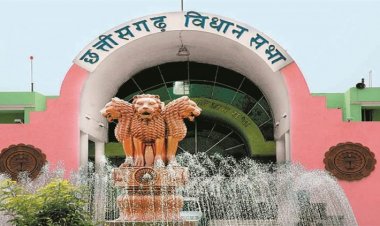 आयुर्वेदिक दवाओं में ऐलोपैथिक दवाईयों की मिलावट