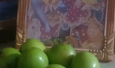 महाशिवरात्रि के दिन महादेव पर क्यों चढ़ाते हैं बेर