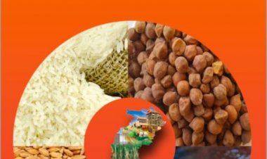 67 लाख 92 हजार राशन कार्डधारियों ने किया नवीनीकरण के लिए ऑनलाइन आवेदन