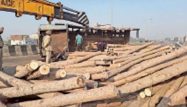हाईवे पर लकड़ियों से भरा ट्रक पलटा, बाल-बाल बचा चालक
