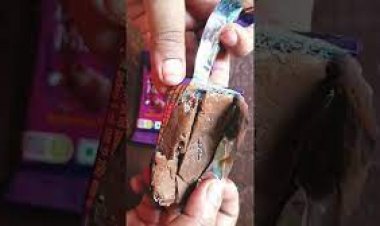 कॅडबरी की चॉकलेट सैंपल में ‎निकले सफेद कीड़े-जाले