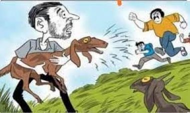 ढाबा संचालक की बकरी चोरी कर उसका सौदा करने वाले 5  गिरफ्तार