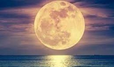 फाल्गुन पूर्णिमा कब है? पितरों को प्रसन्न करने जरूर करें ये उपाय; खुशियों से भर जाएगी झोली