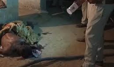 कोरबा के भालूसटका में बुधवार देर रात हुए 70 साल के बुजुर्ग की हत्या का मामला