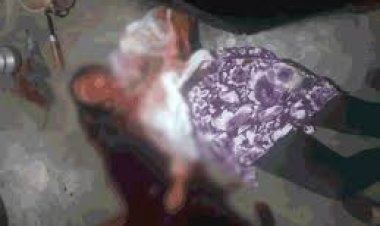 गरियाबंद में सनकी युवक ने की फरसा से काटकर युवती की हत्या