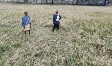 बेमौसम बारिश एवं ओलावृष्टि से फसलों को हुई क्षति का शीघ्र सर्वे करने कलेक्टर के निर्देश