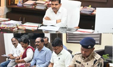 आवारा मवेशियों को सडक़ से दूर रखने अभियान की सीईओ ने की समीक्षा