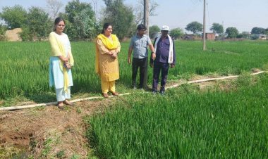 बेमौसम बारिश और ओलावृष्टि से बीमित फसलों को हुई क्षति की जानकारी दें किसान